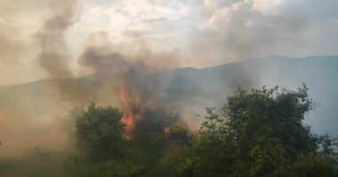 Zjarr në fshatin Hoshtimë të Vlorës, digjet një sipërfaqe me shkurre dhe ullinj