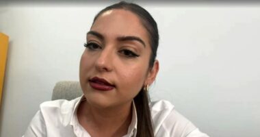Protesta, “Qytetarët të dëgjojnë BE-në”, Sara Mila: Pa drejtim dhe fokus, mund të humbasë në ‘qorrsokak’