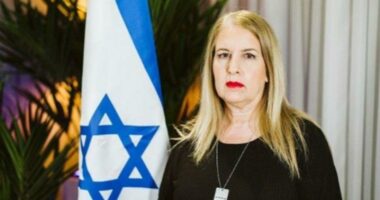 Dhuna ndaj flamurit, reagon ambasadorja e Izraelit/ Galit Peleg: U shëmtua imazhi i raportit të shkëlqyer mes dy popujve