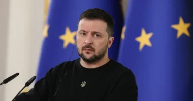 Zelensky i kërkon NATO-s më shumë raketa kundërbalistike dhe municione