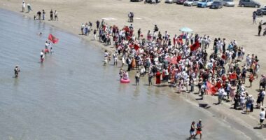 Rama nxjerr pamjet, u përgjigjet protestuesve: Mos e dëmtoni habitatin e flamingove me makina dhe mbeturina