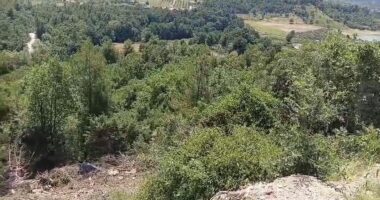 Trajleri del nga rruga/ Krujë, lëndohet shoferi, përfundon disa metra poshtë rrugës