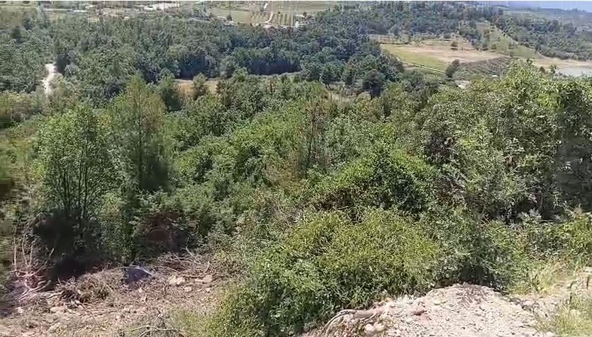 Trajleri del nga rruga  Krujë  lëndohet shoferi  përfundon disa metra poshtë rrugës