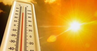 Alarm i kuq në Holandë, vendi paralajmërohet për temperatura ekstreme