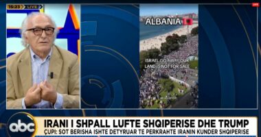 “Sali Berisha ishte i detyruar me patjetër të mbronte Iranin”, Çupi: Të gjitha institucionet e shtetit duhet të veprojnë