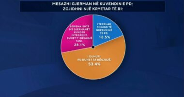 Mesazhi gjerman në Kuvendin e PD: Zgjidhni një kryetar të ri! Sondazhi: 53.4% pro thirrjes së deputetit të CDU-së