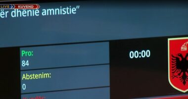Kuvend/ Miratohet amnistia penale, votohet me 84 vota pro