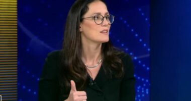 A rrezikohet ekosistemi nga projekti?/ Delina Ibrahimaj: Laguna nuk do preket! Do bëhen studime ambientale