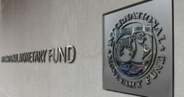 Ecuri pozitive e ekonomisë shqiptare/ FMN: Rritje e qëndrueshme, pavarësisht sfidave gjeopolitike