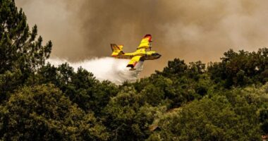 BE planifikon operacionin më të madh ndonjëherë kundër zjarreve pyjore