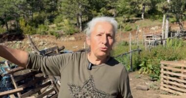 “Policia qëlloi e para”, nëna e autorit që ekzekutoi efektivin: Më vjen keq, edhe djali im të kishte vdekur!