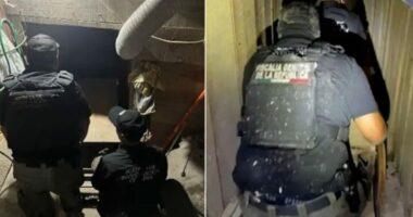 SHBA-Meksikë, tunel për drogën/ Shërbente për kalimin e kokainës, arrestohen 4 persona