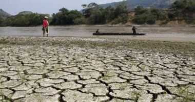 El Niño ka nisur zyrtarisht, shkencëtarët paralajmërojnë mot ekstrem