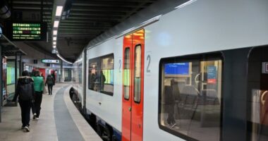 Belgjika lëshon alarm kombëtar për valën e të nxehtit, anulohet lëvizja e 100 trena në ditë