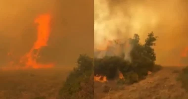 Zjarri në Spanjë jashtë kontrollit, autoritetet në gatishmëri
