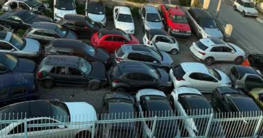 Grabisnin makina në Greqi dhe u falsifikonin të dhënat, arrestohen 11 shqiptarë