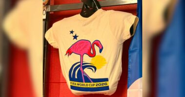 Një flamingo mbi Kupën e Botës