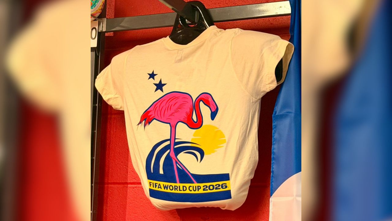 Një flamingo mbi Kupën e Botës