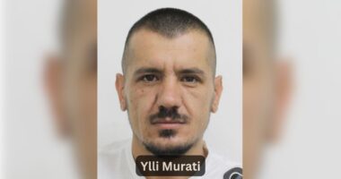 Plagosi me thikë dy persona/ Del foto, Fatjon Murati, vëllai i mikut të Endrit Dokles