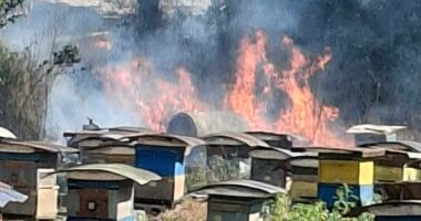 Gjirokastër, zjarri pranë fshatit Humelicë rrezikoi banesat dhe një park bletësh, ndërhyrja në kohë shmang dëmet