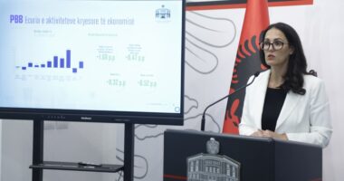 Ekonomia e qëndrueshme/ Ibrahimaj: Rritja në nivele më të mira krahasuar me vendet e rajonit