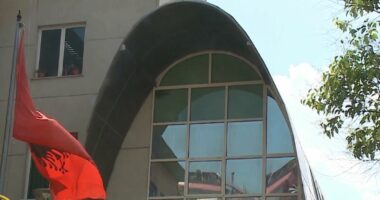 Falen 215 milionë euro/ Administrata tatimore: Mbi 25 mijë tatimpagues kanë përfituar nga procesi i faljes pa kusht