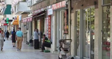 Zbardhet skema e floririt të vjedhur nga Greqia në Shqipëri/ Hetime nga Fieri në Tiranë, arrestohen dy persona