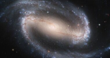 Astronomët sfidojnë teoritë ekzistuese pas zbulimit në galaktikën GN20