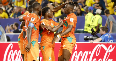 Ekuadori ndalet te shtyllat/ Bregu i Fildishtë fiton 1-0 në Botëror, por me shumë fat