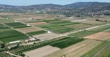 Rritet prodhimi i perimeve/ INSTAT: Pëson rënie prodhimi i frutave