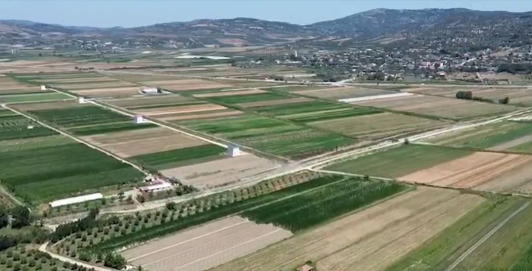 Rritet prodhimi i perimeve  INSTAT  Pëson rënie prodhimi i frutave