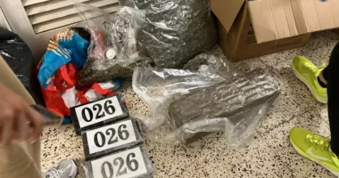 Shkatërrohet rrjeti kriminal që kontrabandonte tonelata kanabis në Francë përmes postës së shpejtë