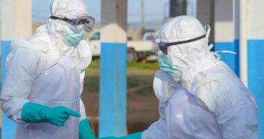 Ebola, shtohen vdekjet/ Kongo, mjekët: Pacientët shkojnë shumë vonë në spitale