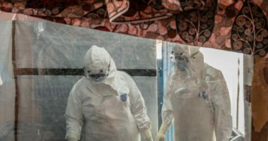 Franca konfirmon rastin e parë të Ebola-s te një mjek