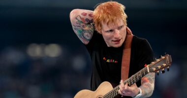 Ed Sheeran njofton pushim nga muzika pas turneut “LOOP” për t’u fokusuar te familja e tij