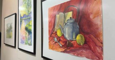 Pogradeci, qendër e akuarelit botëror/ “Lin in Aqua 2” mblodhi 64 artistë të huaj, mbi 150 vepra në galerinë e qytetit