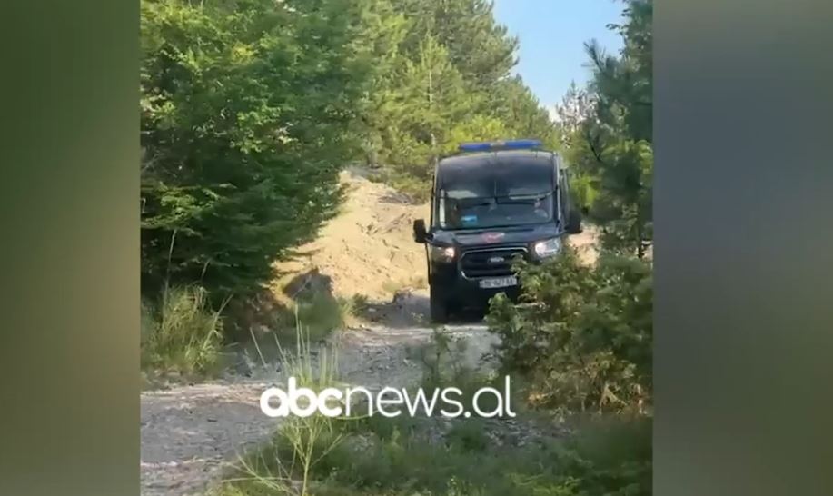 Pamjet nga vendi ku u gjet trupi i pajetë, dyshohet se i përket Eglant Koçit