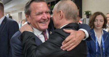 E kërkoi si ndërmjetës për luftën në Ukrainë/ Putin takon në Kremlin ish kancelarin Schroder