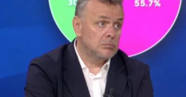 “Protesta paqësore, policia sjellje korrekte”/ Karamuço: Sulmet në rrjetet sociale, u tentua destabilizimi