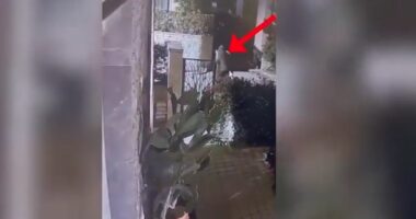 Tentoi të grabiste një banesë në Farkë/ Kapet në flagrancë 53 vjeçari