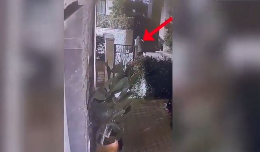 Tentoi të grabiste një banesë në Farkë  Kapet në flagrancë 53 vjeçari