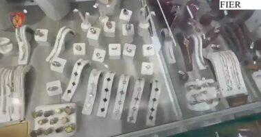 FIER/ Të vjedhura në Itali e Greqi! Goditet skema e trafikut të sendeve me vlerë, një i arrestuar dhe një në kërkim
