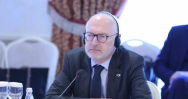 Ambasadori francez: Për të mbështetur Kosovën duhen institucione që funksionojnë mirë