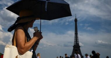I nxehti pervelon europen alarm i kuq ne France dhe Itali, viktima nga vapa dhe mbytjet ne det