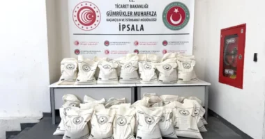 Me vlerë gati 55 milionë euro, sekuestrohen një ton drogë në kufirin Turqi-Greqi