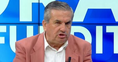 Protesta e 24/ Beqiri: Grekët e serbët vunë në shërbim Berishën për protestën