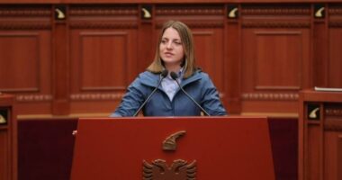PS largon Marjana Koçekun nga delegacioni shqiptar në Komitetin e Stabilizim Asocimit, zëvendësohet me Erion Malajn