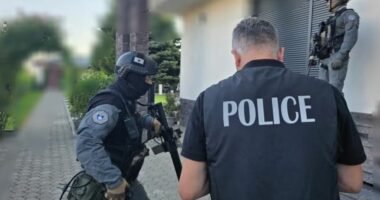 Pesë të arrestuar në Kosovë për trafikim të drogës dhe pastrim të parave