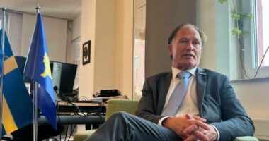 Ambasadori suedez: Situata energjetike në Kosovë pengon zhvillimin ekonomik