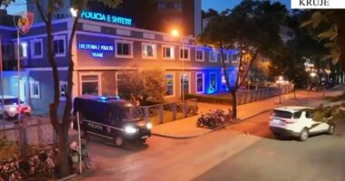 Operacion masiv antidrogë në Krujë, policia asgjëson dhjetëra fidanë dhe bimë kanabisi
